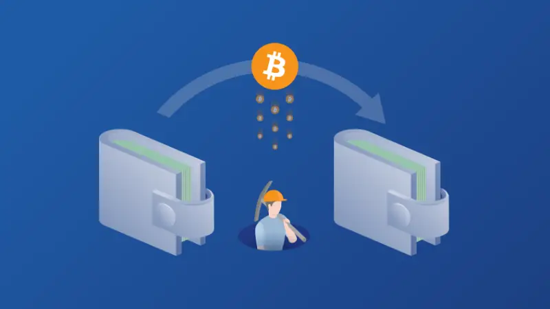 Transaction Fee Structure